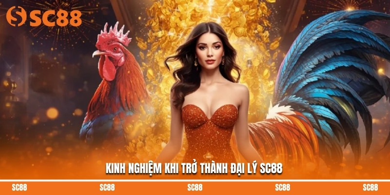 Kinh nghiệm khi trở thành đại lý SC88