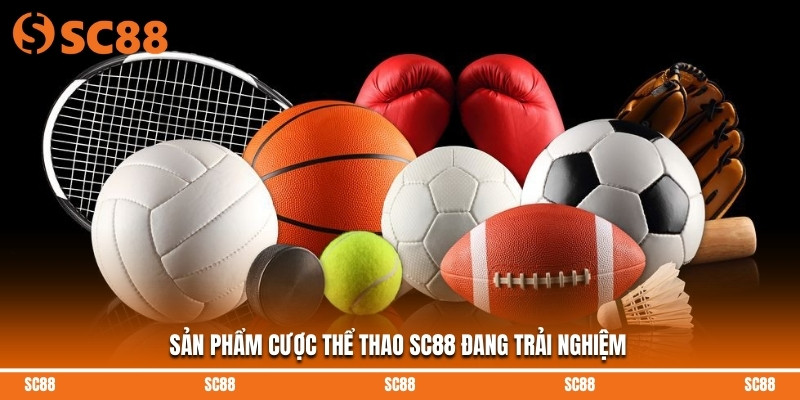 Sản phẩm cược thể thao SC88 đang trải nghiệm